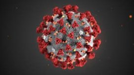 CORONAVIRUS THIS UNKNOWN - CORONAVIRUS - World News