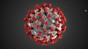 CORONAVIRUS QUESTO SCONOSCIUTO - CORONAVIRUS - WORLD NEWS